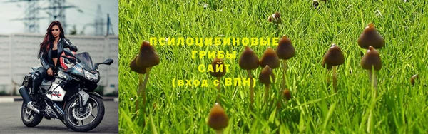 ECSTASY Армянск