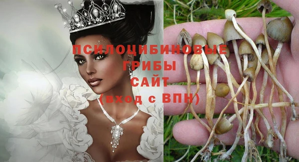 ECSTASY Армянск