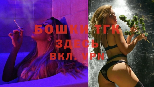 apvp Аркадак