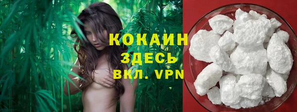 прущий лед Алзамай